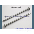 2.5 inch bright common iron wire nails factory